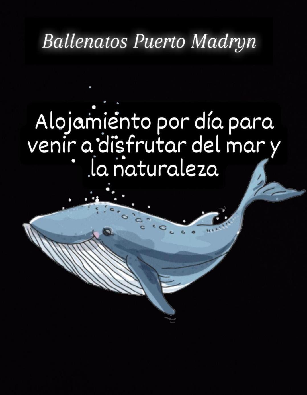 Ballenatos Madryn 玛德琳港 外观 照片
